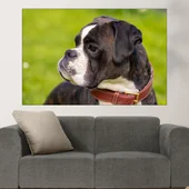 Портрет на малък черен Боксер - картина пано за стена - Thumbnail 1
