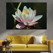 Цъфнала бяла водна лилия - картина пано за стена - Thumbnail 1