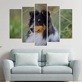 Портрет на Шотландска овчарка - картина пано за стена - Thumbnail 3