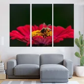 Пчела върху циния - картина пано за стена - Thumbnail 2