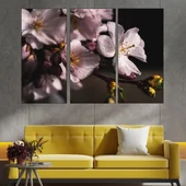 Роса върху черешов цвят - картина пано за стена - Thumbnail 2