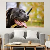 Портрет на черен Питбул - картина пано за стена - Thumbnail 1