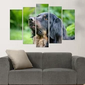 Потрет на черен Ховаварт  - картина пано за стена - Thumbnail 3