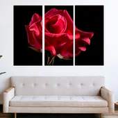 Червена роза на черен фон - картина пано за стена - Thumbnail 2