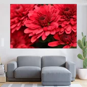 Червени хризантеми - близък план - картина пано за стена - Thumbnail 1