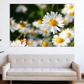 Цветя бели маргаритки - картина пано за стена - Thumbnail 1