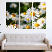 Цветя бели маргаритки - картина пано за стена - Thumbnail 2