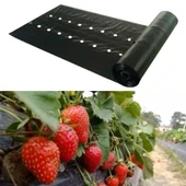 Едносезонен найлон за ягоди UV 1.1 м - Thumbnail 1