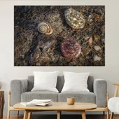 Охлюв и камъни - картина пано за стена - Thumbnail 1