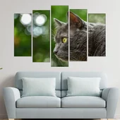 Вторачено сиво коте  - картина пано за стена - Thumbnail 3