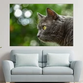 Вторачено сиво коте  - картина пано за стена - Thumbnail 1