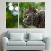 Вторачено сиво коте  - картина пано за стена - Thumbnail 2