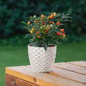 Кашпа 14x9.1x12.5 см 1.4 л бяла Kapadokya SERINOVA - Thumbnail 2