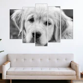 Близък кадър на голдън ретривър - картина пано за стена - Thumbnail 3