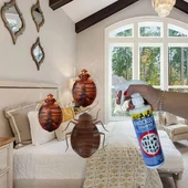 Препарат против дървеници 500 мл Нокаут Универсал KWIZDA - Thumbnail 2