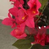 Декоративна клонка Бугенвилия 75 см - Thumbnail 2