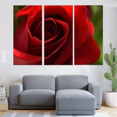 Макро на червена роза - картина пано за стена - Thumbnail 2