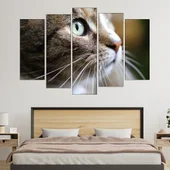 Макро снимка на коте - картина за стена - Thumbnail 3