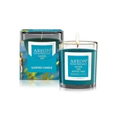 Ароматна свещ Под мистичното дърво 120 гр AREON - Thumbnail 1