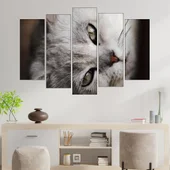 Сива котка в близък план - картина пано за стена - Thumbnail 3