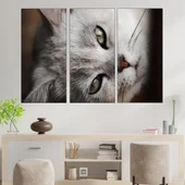 Сива котка в близък план - картина пано за стена - Thumbnail 2