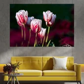 Червено-бели лалета - картина пано за стена - Thumbnail 1