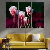 Червено-бели лалета - картина пано за стена - Thumbnail 2