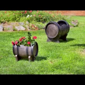 Саксия Салса малка S ROTO - Thumbnail 2