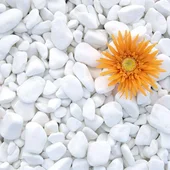 Камъчета за декорация 3-6 см Pebbles White Thasos AKROLITHOS - на кг - Thumbnail 1