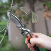 Лозарска ножица с изолирани дръжки 200 мм WOKIN - Thumbnail 2