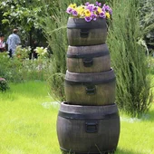 Саксия Буренце голяма L - Thumbnail 3