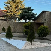 Декоративни камъни Дъга 2-4 см - Thumbnail 5