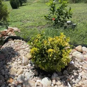 Декоративни камъни Дъга 2-4 см - Thumbnail 2