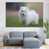 Малък бял японски шпиц - картина пано за стена - Thumbnail 1