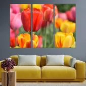 Цъфнало червено лале - картина пано за стена - Thumbnail 2