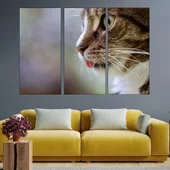 Котешка глава в близък план - картина пано за стена - Thumbnail 2