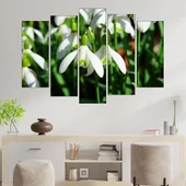 Пролетни кокичета - картина пано за стена - Thumbnail 3