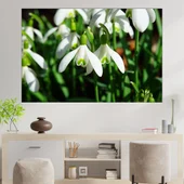 Пролетни кокичета - картина пано за стена - Thumbnail 1