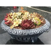 Саксия Тробентица - Thumbnail 4