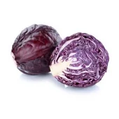 Семена червено зеле Топаз 5гр - Thumbnail 2