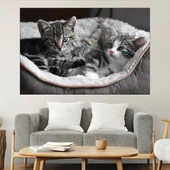 Малки котета в панер  - картина пано за стена - Thumbnail 1