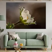 Сутрешна роса - картина пано за стена - Thumbnail 1