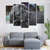 Черен Cane Corso  - картина пано за стена - Thumbnail 3