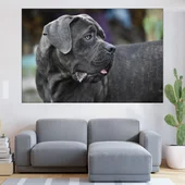 Черен Cane Corso  - картина пано за стена - Thumbnail 1