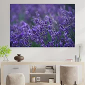 Цъфнала в полето лавандула - картина пано за стена - Thumbnail 1