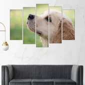 Малък голдън ретривър - картина пано за стена - Thumbnail 3