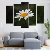 Цъфнала бяла маргаритка - картина пано за стена - Thumbnail 3