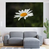Цъфнала бяла маргаритка - картина пано за стена - Thumbnail 1