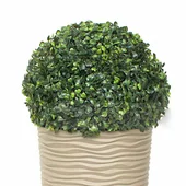 Декоративна зелена топка Чемшир ∅28 см - Thumbnail 2