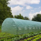 Тунелна оранжерия с армирано покривало 8x3x2 м (24 м2) - Thumbnail 4